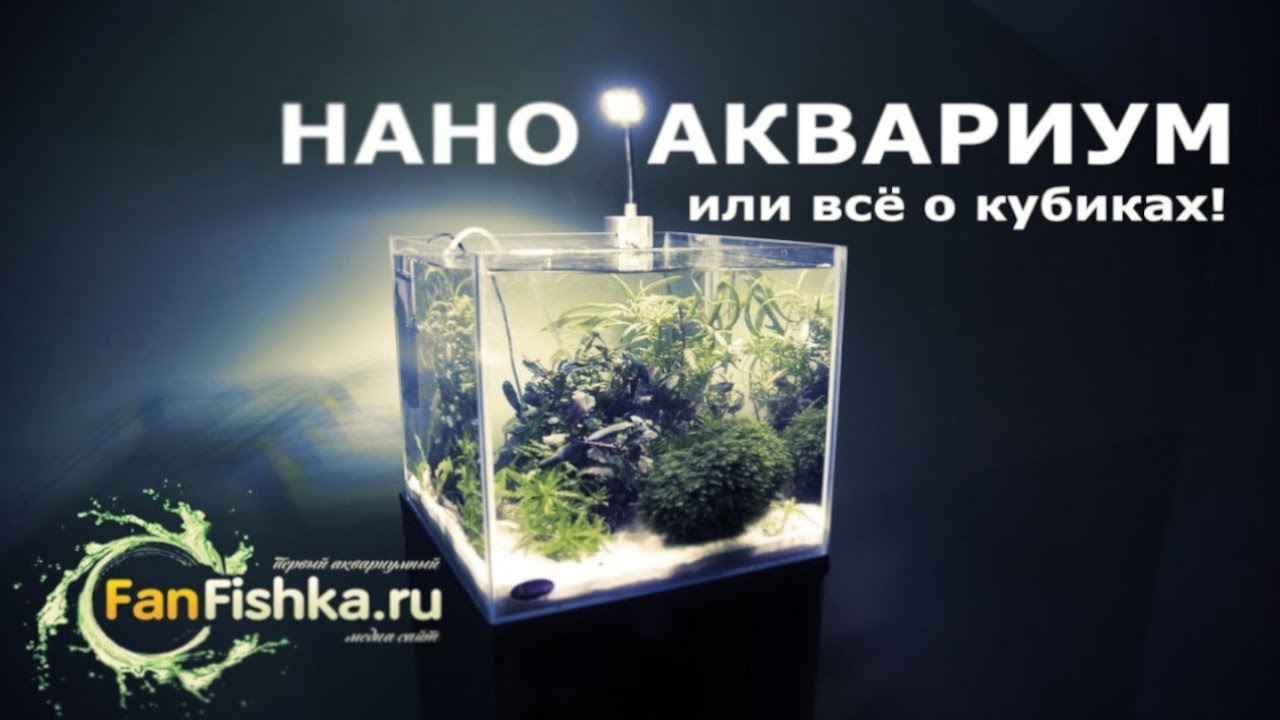 Маленький нано аквариум для начинающих видео-обзор!