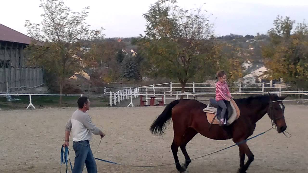 20131027032 Anna lovagol 3