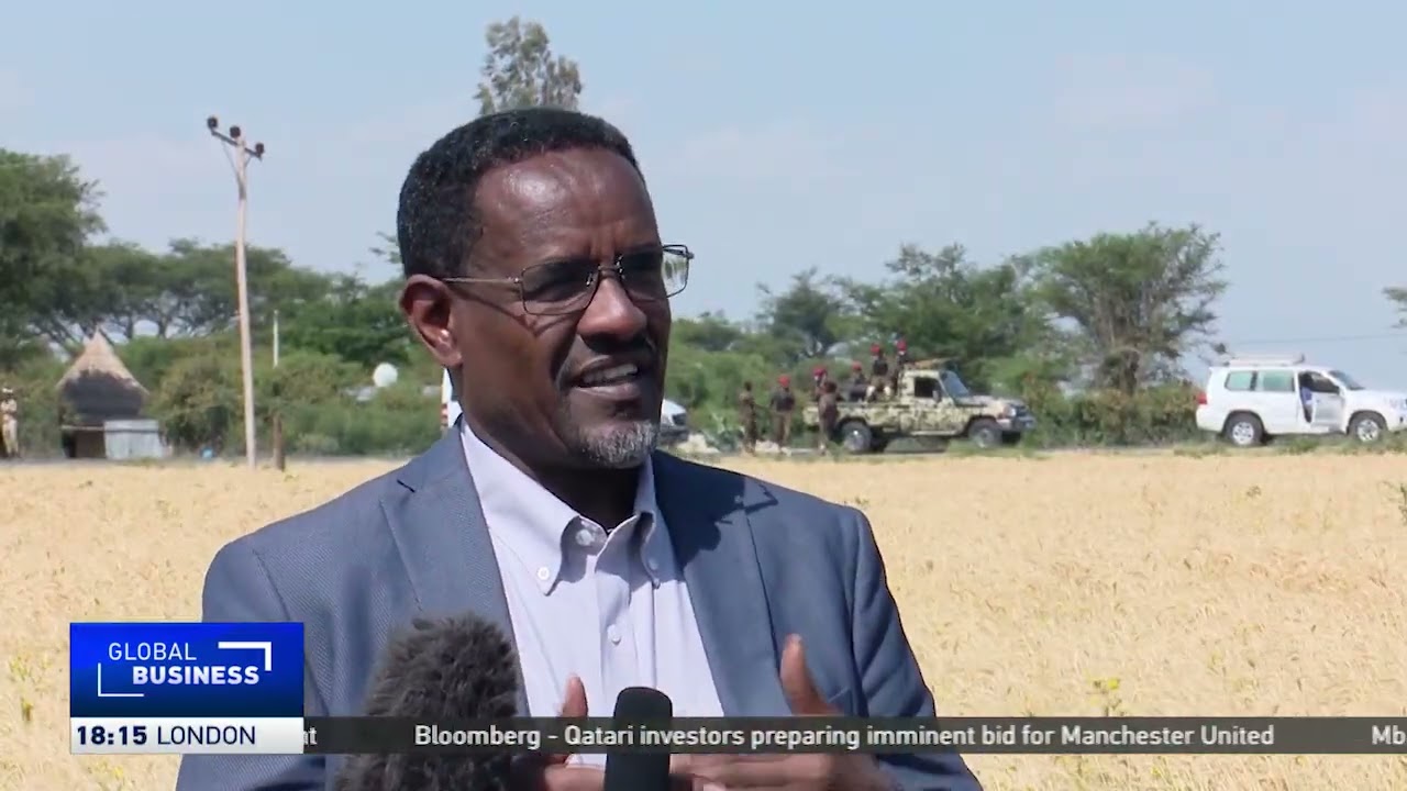 Ethiopia begins to export wheat in the Horn of Africa