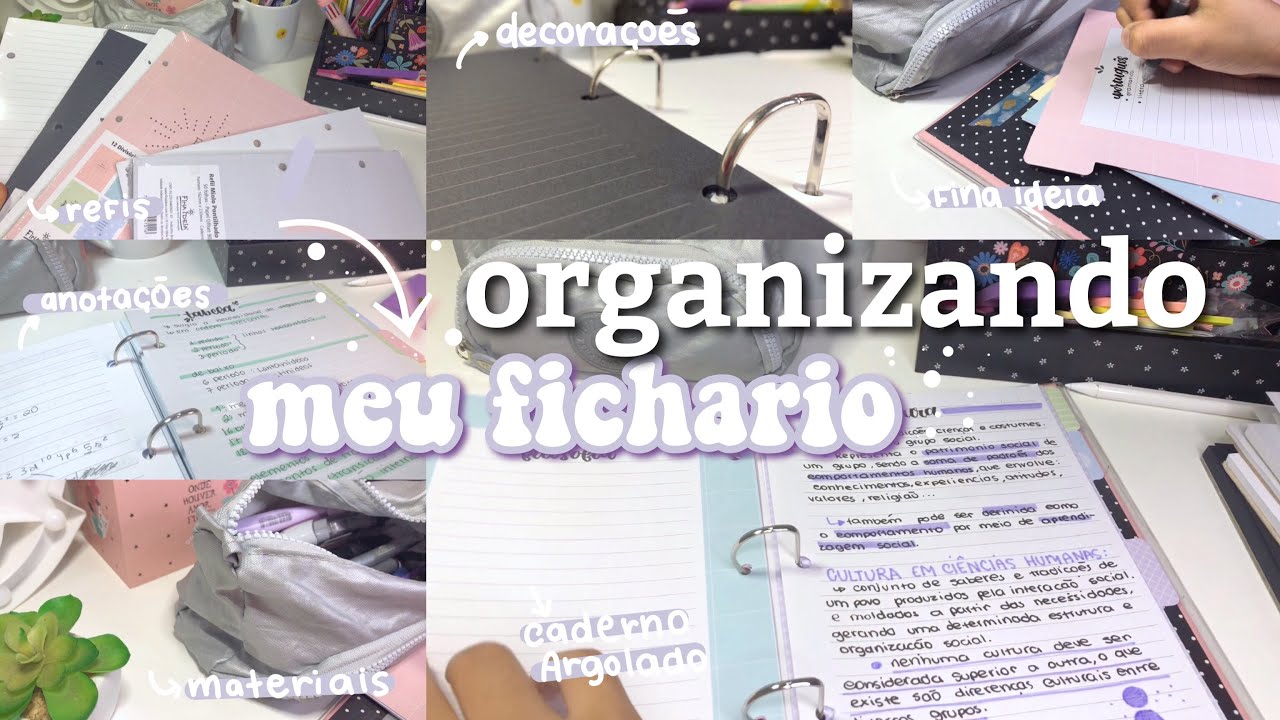 ORGANIZANDO MEU FICHÁRIO | novo trimestre, fichário organizado 🤩💕