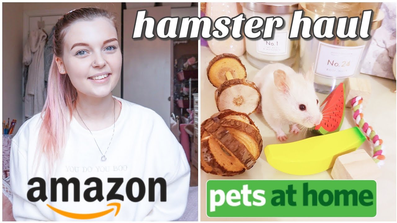 Pets At Home 2020 Hamster Haul // Amazon Hamster Haul