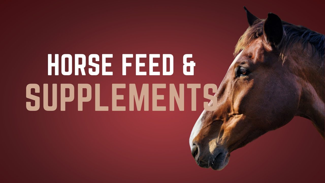 Horse Feed and Supplements