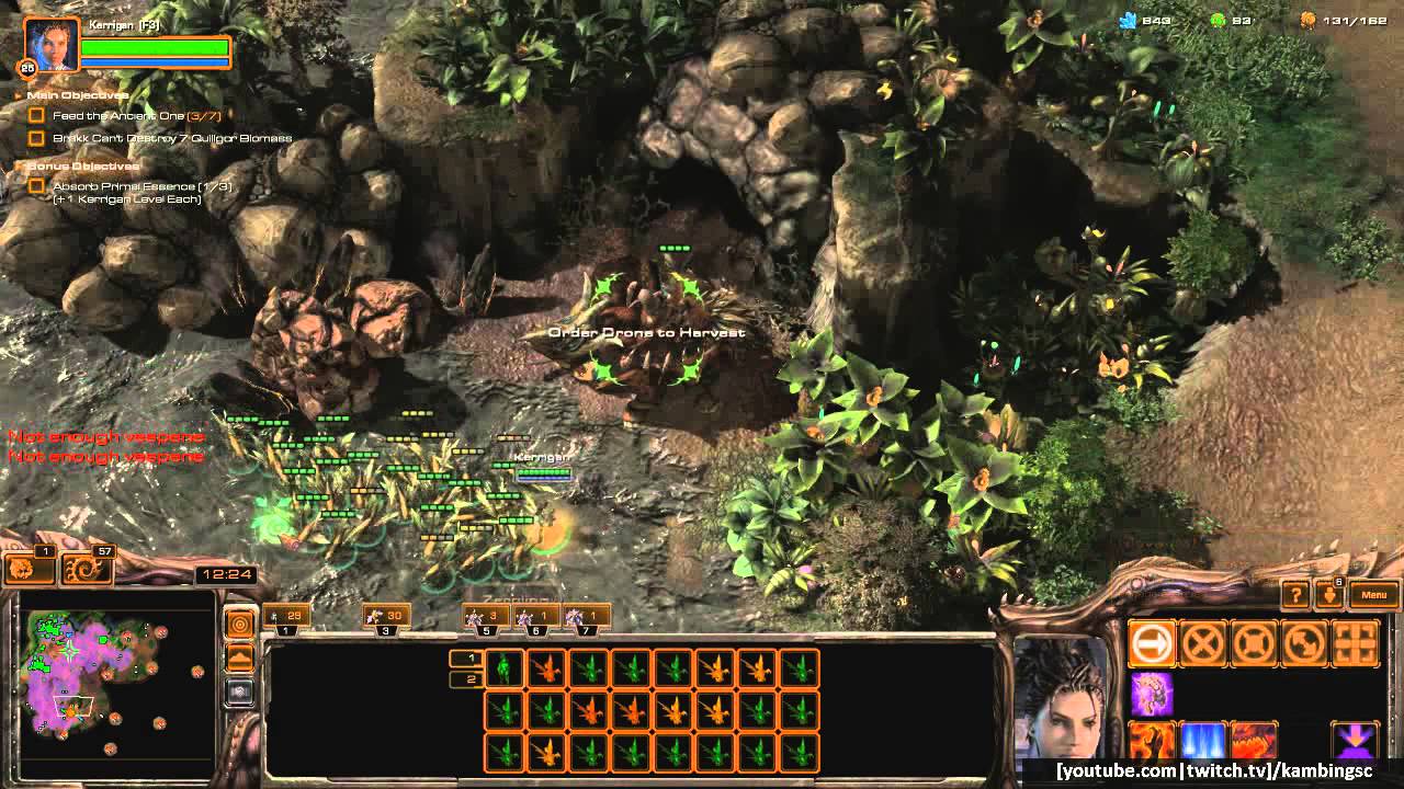 Starcraft II: Heart of the Swarm - Mastery Achievements 10 (Whack-A-Brakk)