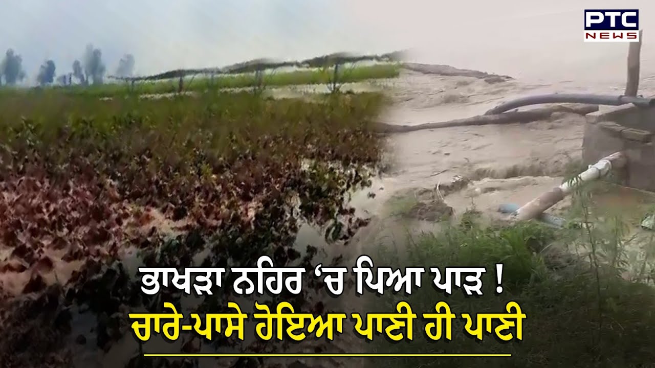 Bhakra ਨਹਿਰ ‘ਚ ਪਿਆ ਪਾੜ ! ਚਾਰੇ-ਪਾਸੇ ਹੋਇਆ ਪਾਣੀ ਹੀ ਪਾਣੀ...| Punjab | Flood