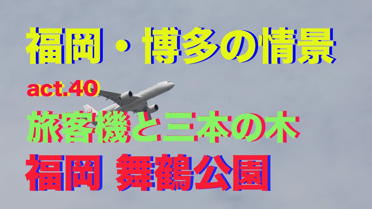 【4k】福岡・博多の情景 act.40・・・SONY &alpha;-7IVで捉えた『旅客機と三本の木　福岡　舞鶴公園』