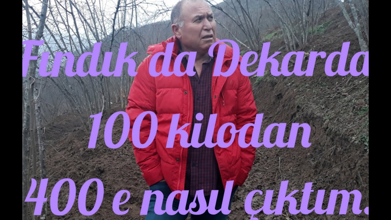 Dönümde, 100den 400kg-a nasıl çıktım. #teraslama Gübreleme.Bahçede izin olsun harmanda gözün #fındık