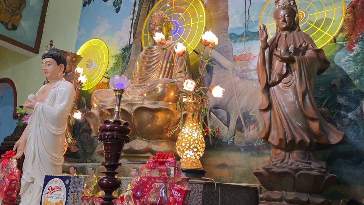 Về chùa Chánh Thiên tụng LỜI VÀNG PHẬT DẠY (Kinh Pháp Cú) | @ThichNhatDao @lieule9324 #lieule