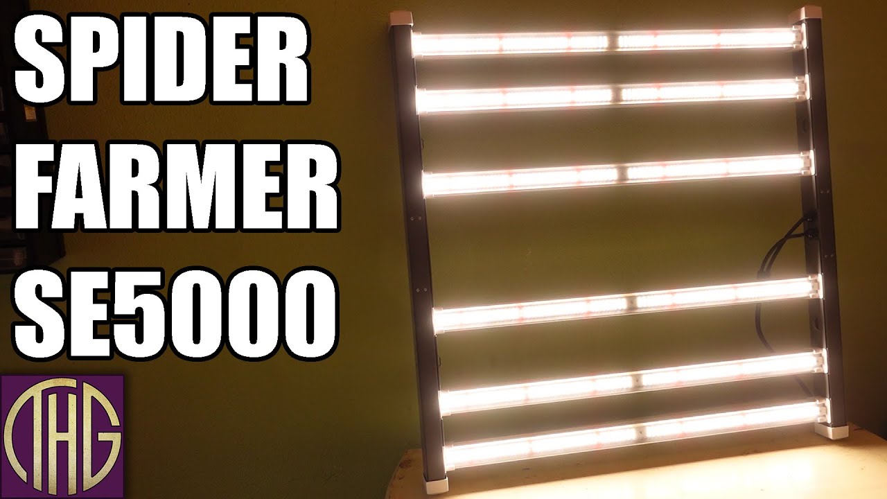 Обзор светодиодного фитолампа Spider Farmer SE-5000 &mdash; он большой, но так ли он хорош?