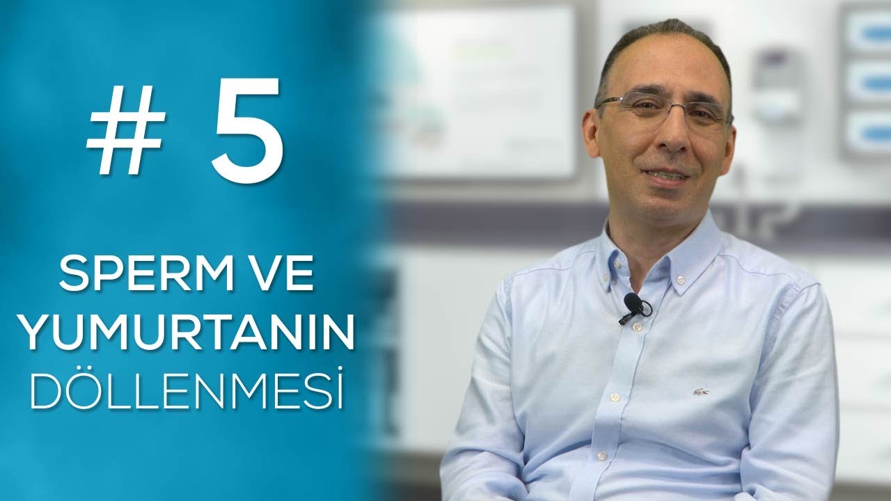 SPERM VE YUMURTANIN DÖLLENMESİ #5