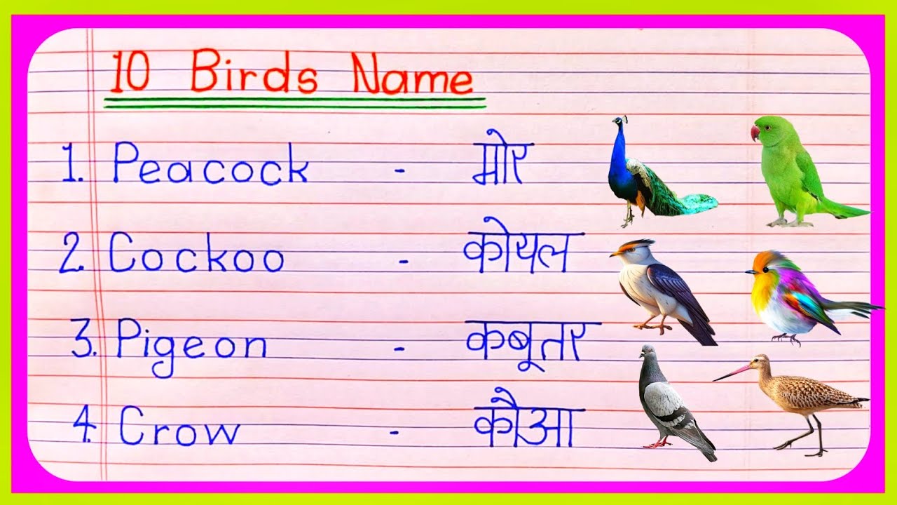 25 Birds Name in Hindi and English/Birds Name/Birds Name in English/ पक्षियों का नाम/25 Birds Name /