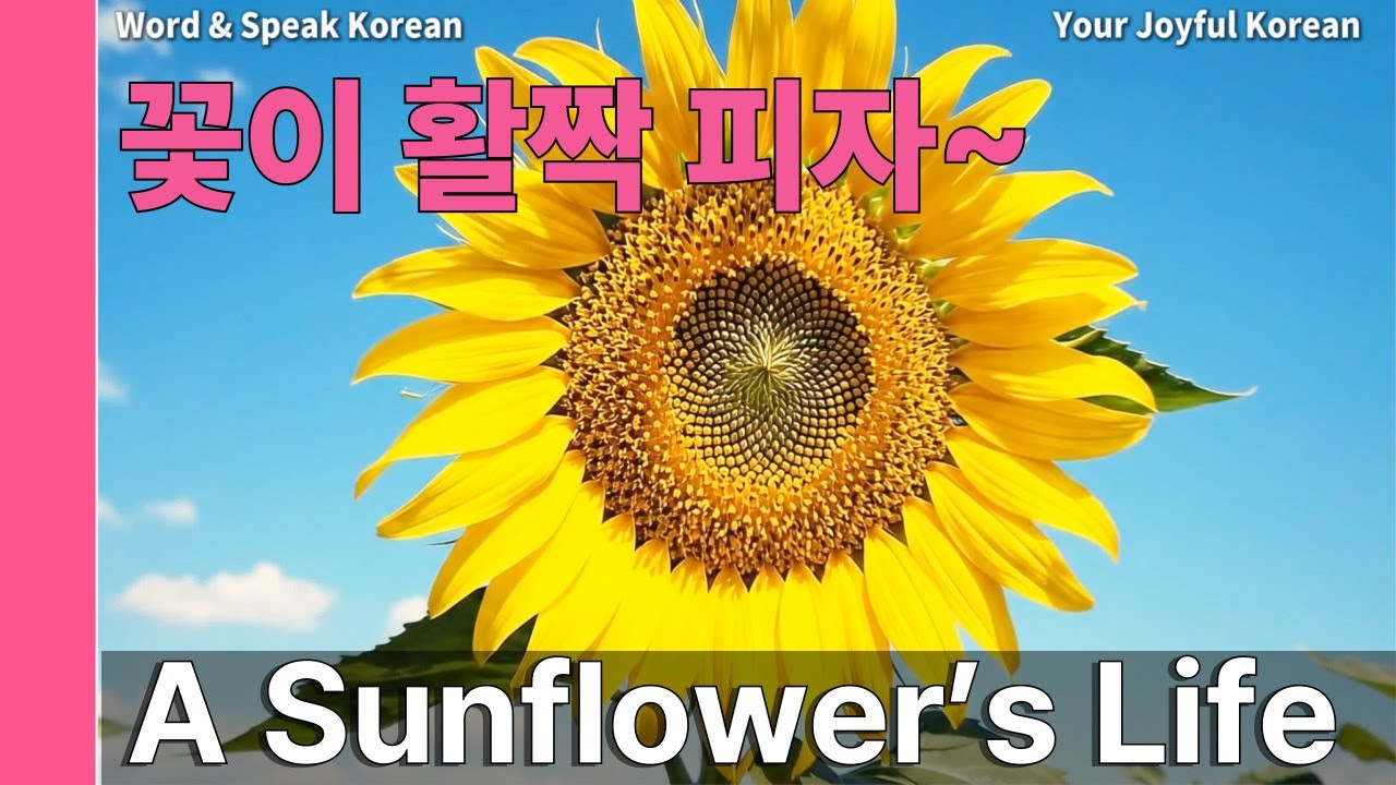 🌻 10 문장 해바라기 꽃의 일생 + 미니 테스트 🌻 Жизнь подсолнуха: 10 фраз + Мини-тест | Word & Speak Korean #9