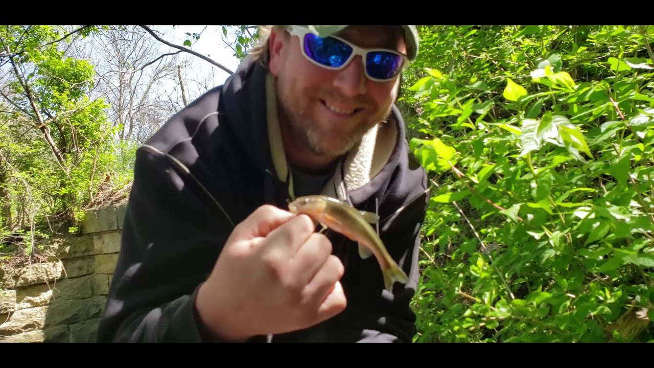 Catching CATFISH baits in the most unlikely place, Finding CREEK CHUBS