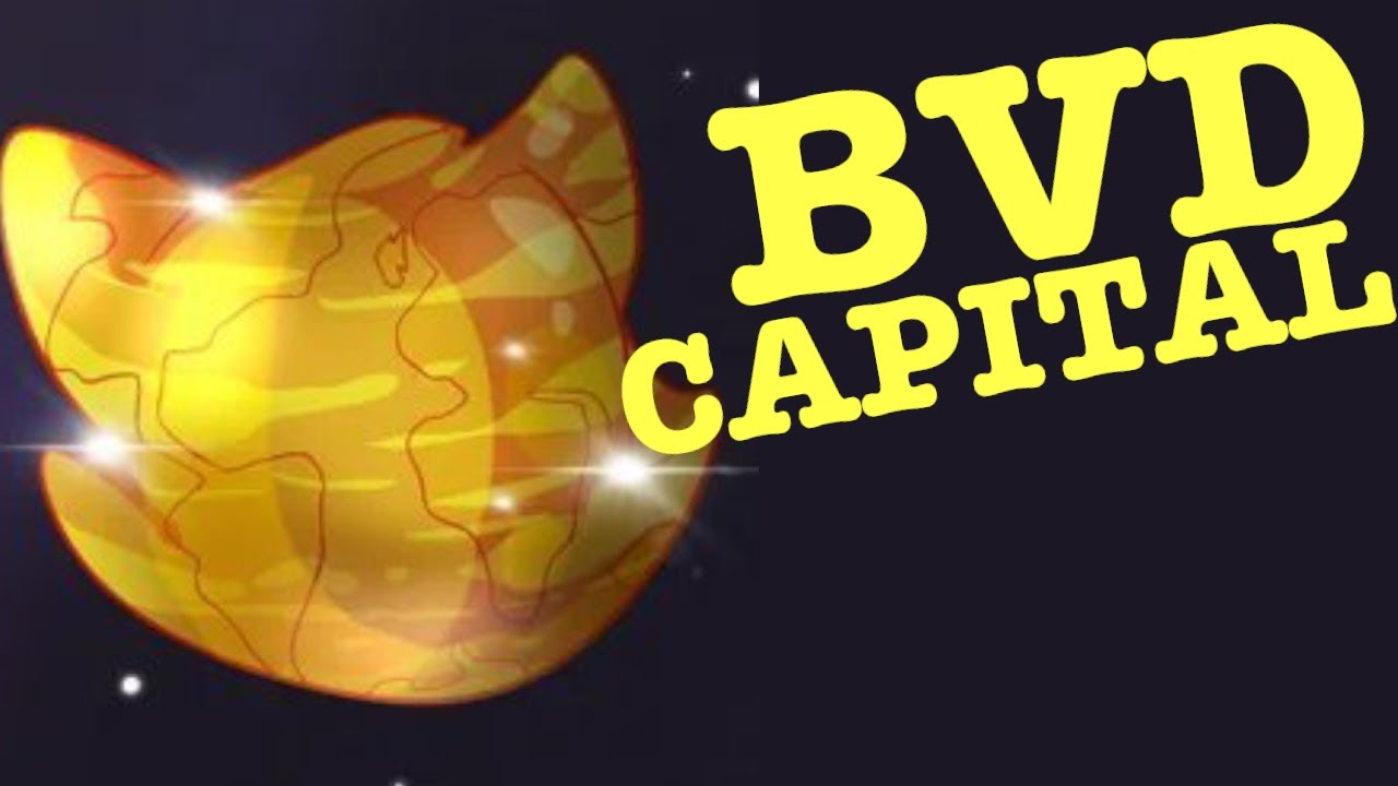 BVD CAPITAL - How To Be A Part of The Latest Solana NFT Treasury - BVDCAT Accumulation & More