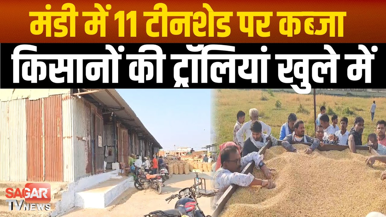 Sagar - मंडी में 13 टीनशेड में से 11 टीनशेड पर कब्जा, किसानों को खुले में खड़ी रखनी पड़ती ट्रॉलियां