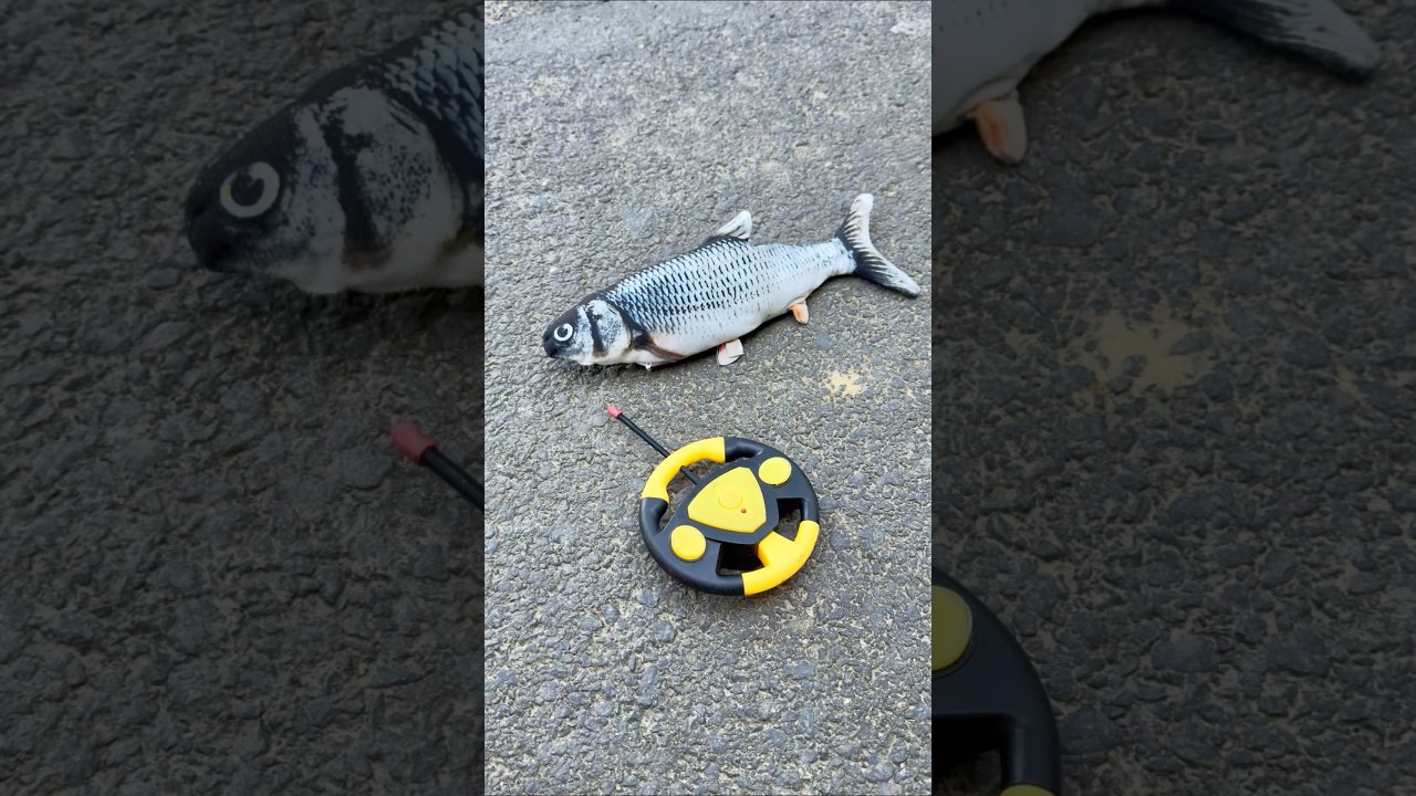 RC Fish Ekdam Original Jesa Fish 😱