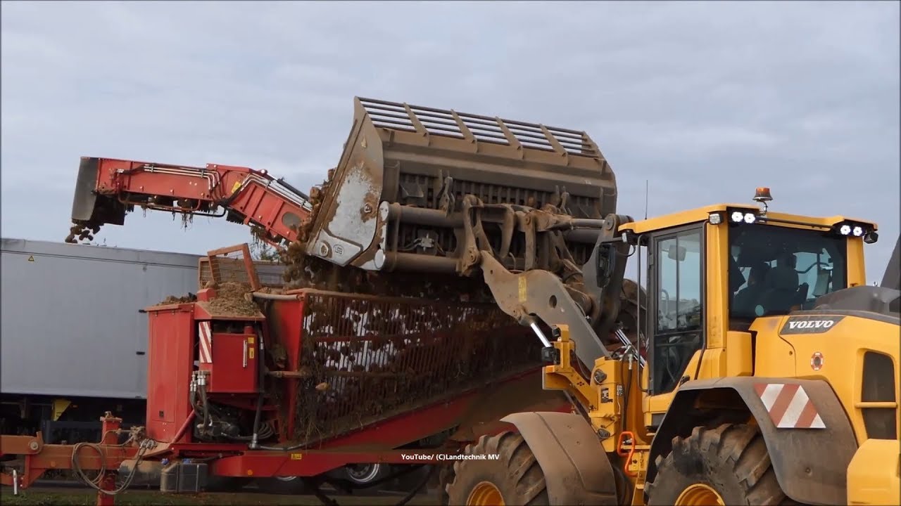 Volvo-Holmer / Rübenverladung - Loading Beets  2018
