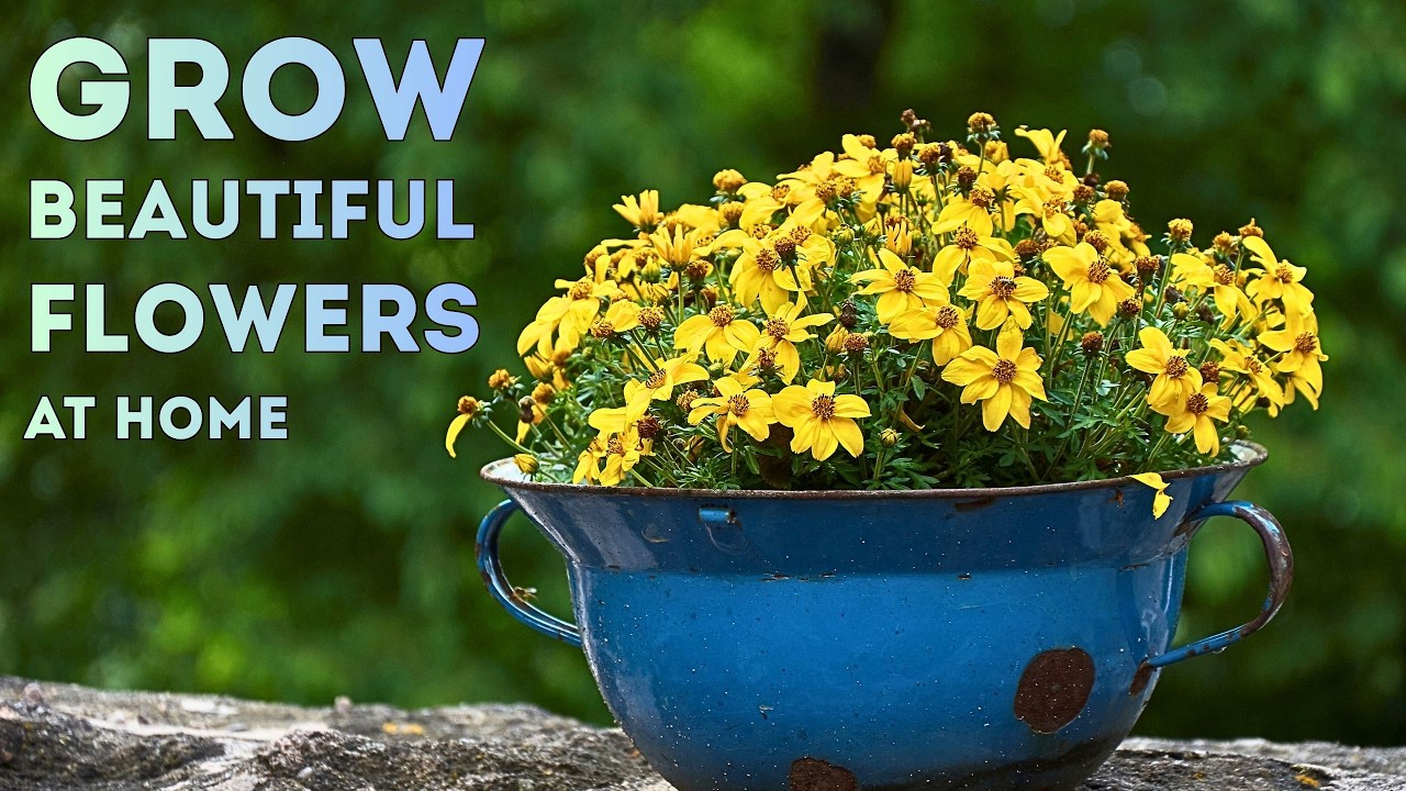 How to Grow Flower Plants at Home 🌺 No Garden Needed!