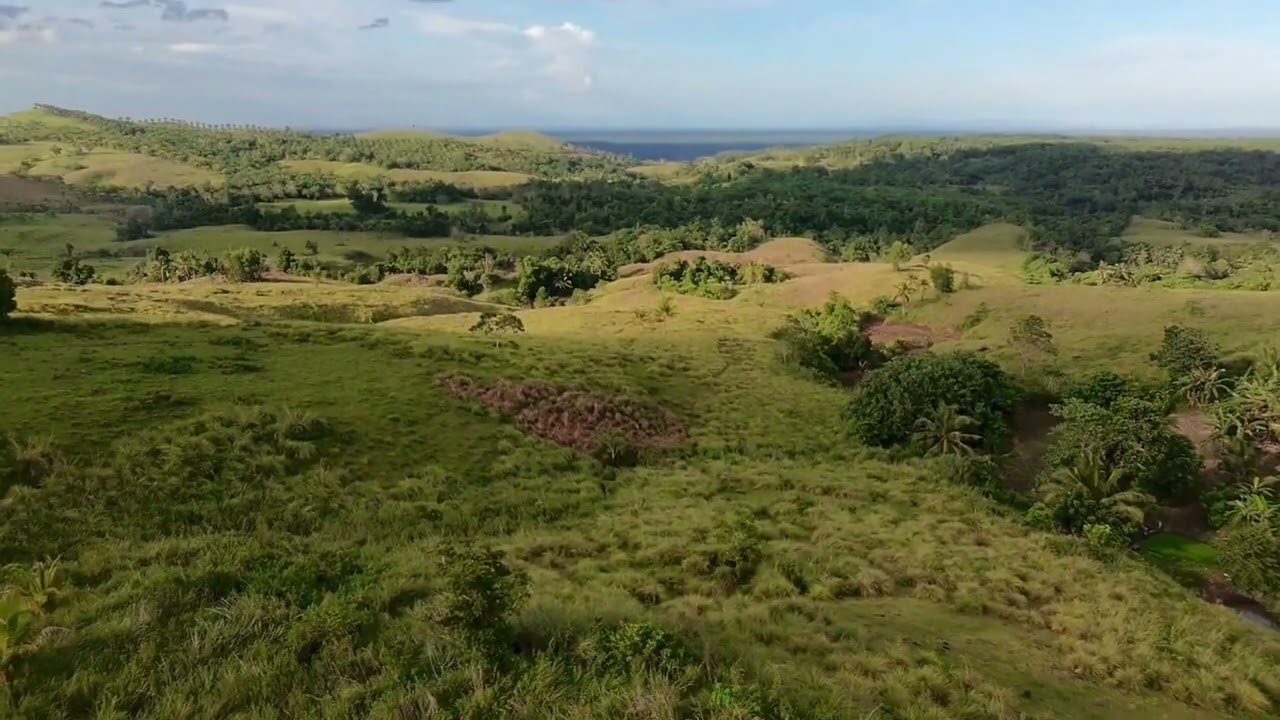 Bohol lot for sale 80 hectares in San Miguel Bohol Philippines 60/sqm 