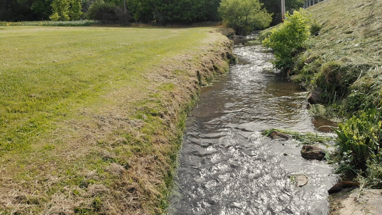 Environmental Science | Students Perform Stream Survey | Southwest Virginia Community College