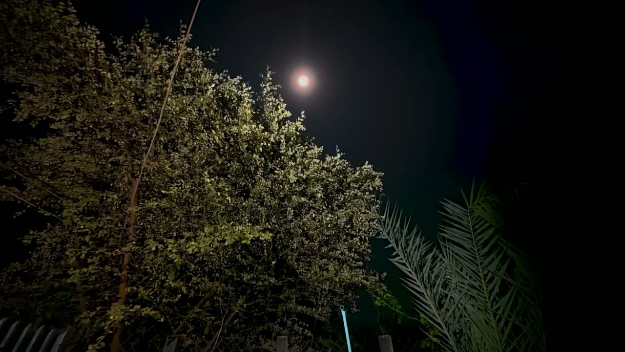 Quiet Night Under the Moon 🌙 | Relaxing Piano Music with Cool Breeze for Stress Relief & Healing