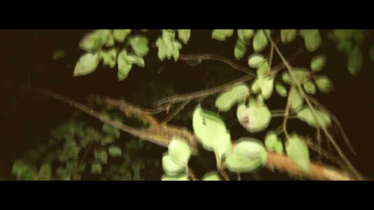 eRRdeKa x Janisis - BUNTES TREIBEN (Official HD Video)