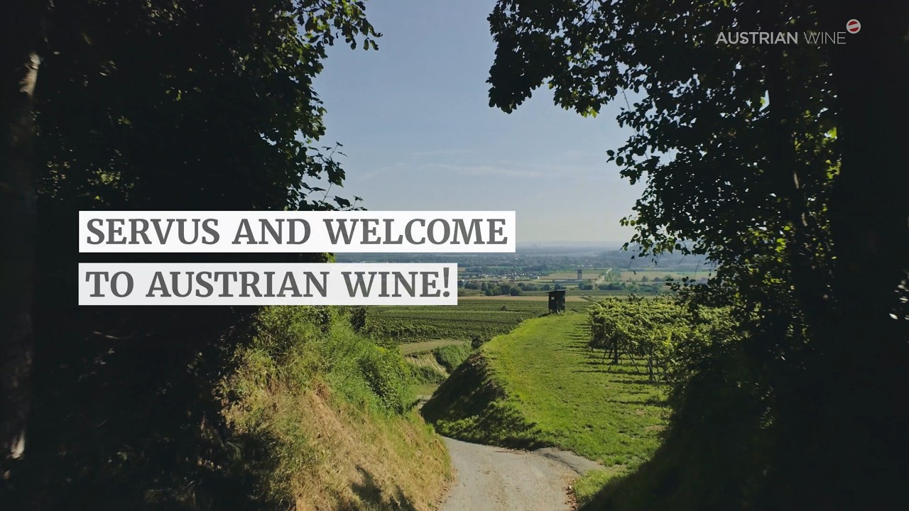 Austrian Wine imagevideo