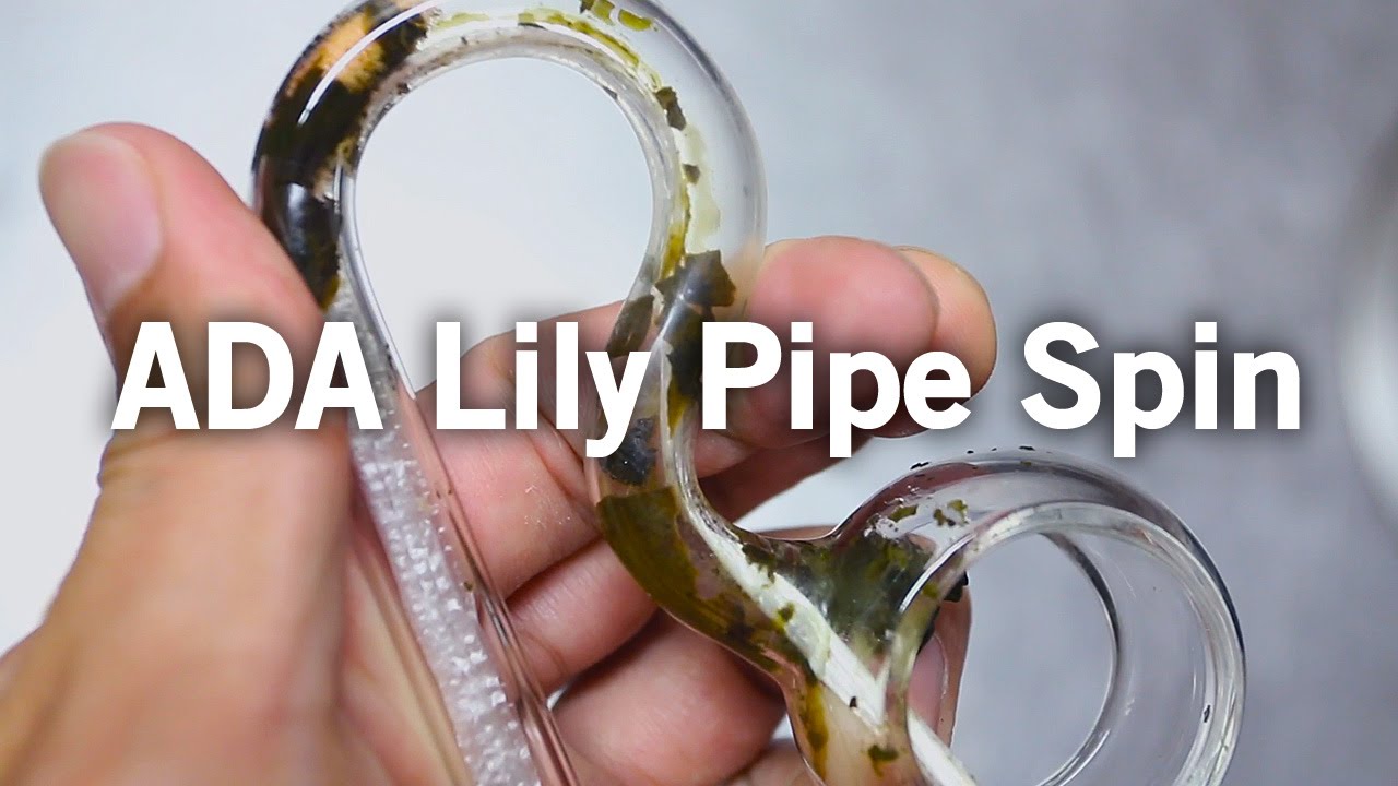 リリィパイプスピンの洗い方｜How to wash Lily Pipe Spin