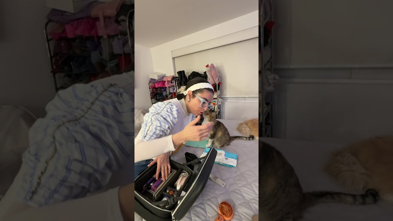 Mi gatita no me dejaba acomodar mis cosas porque quería cariño