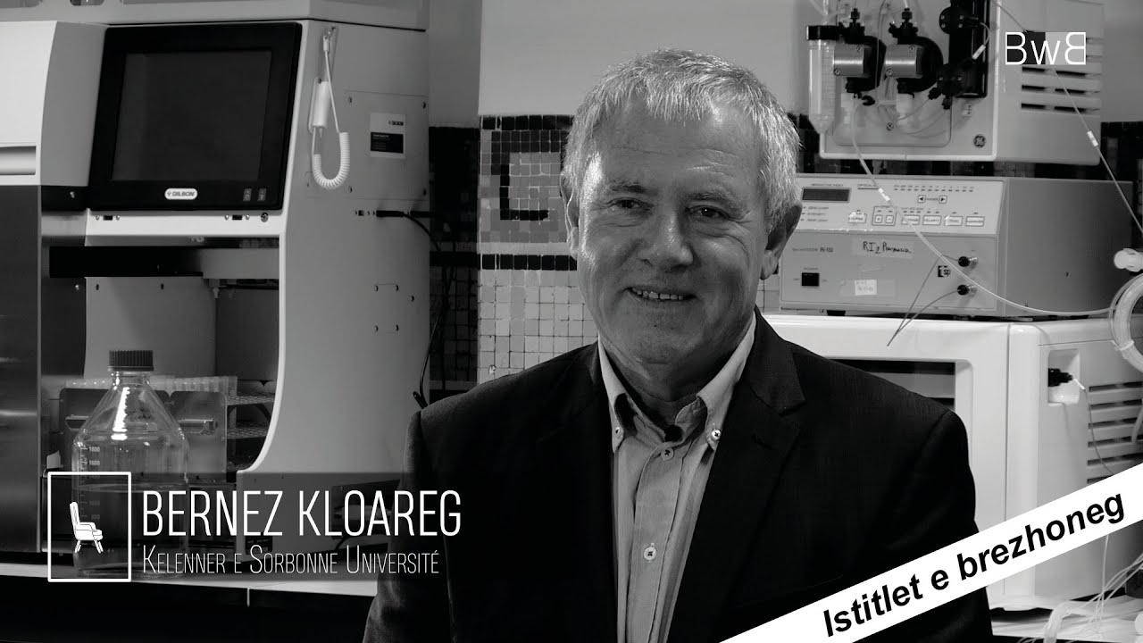 Bernez Kloareg - Pennad Kaoz - Brezhoweb