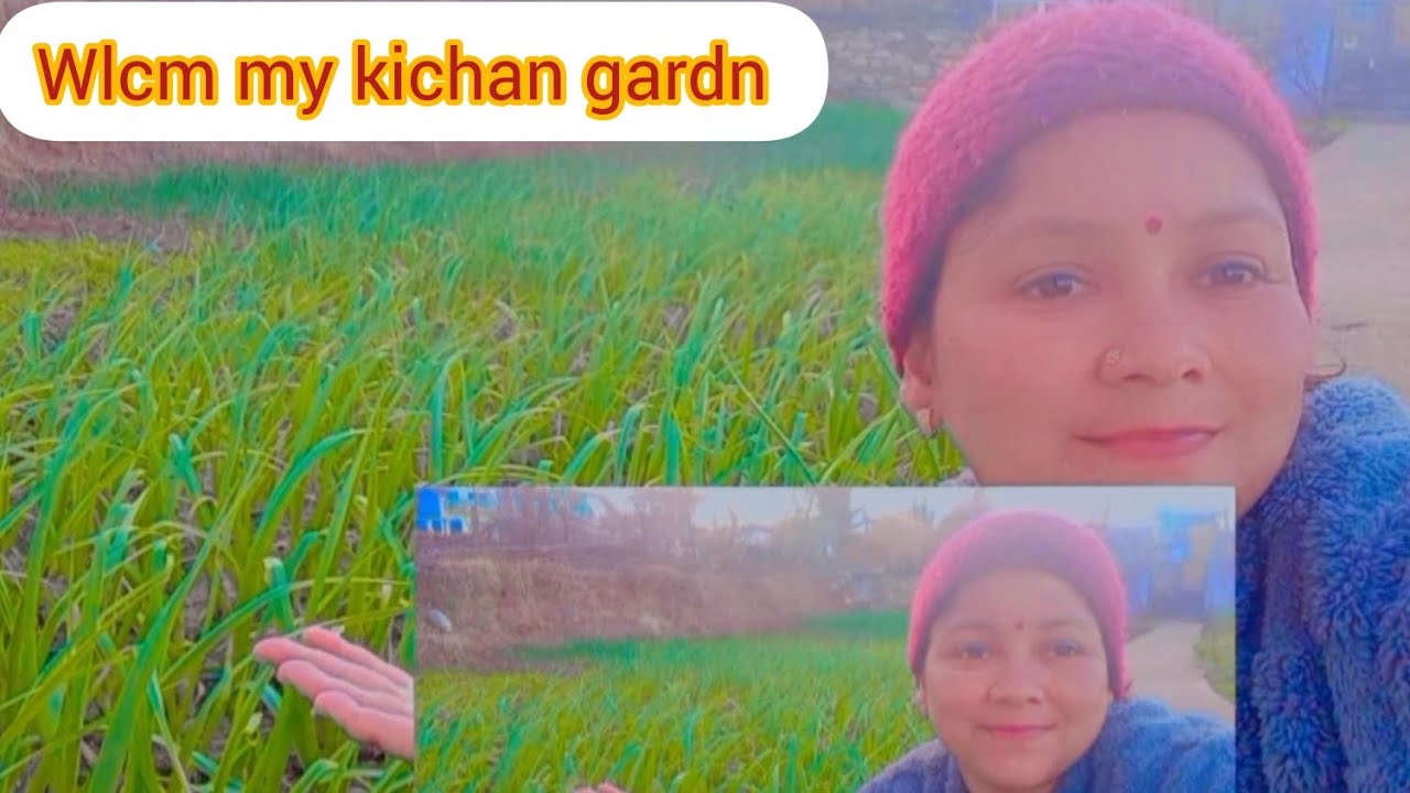 Aj dikhte hu apna kichan grdan se🍀🏵