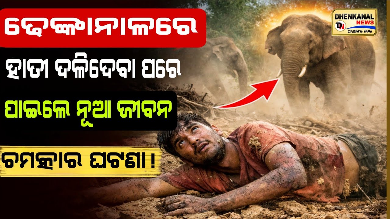 ଢେଙ୍କାନାଳ ରେ ହାତୀ ଦଳିଦେଲା ପରେ ପାଇଲେ ନୂଆ ଜୀବନ ! ଚମତ୍କାର ଘଟଣା l Dhenkanal news l