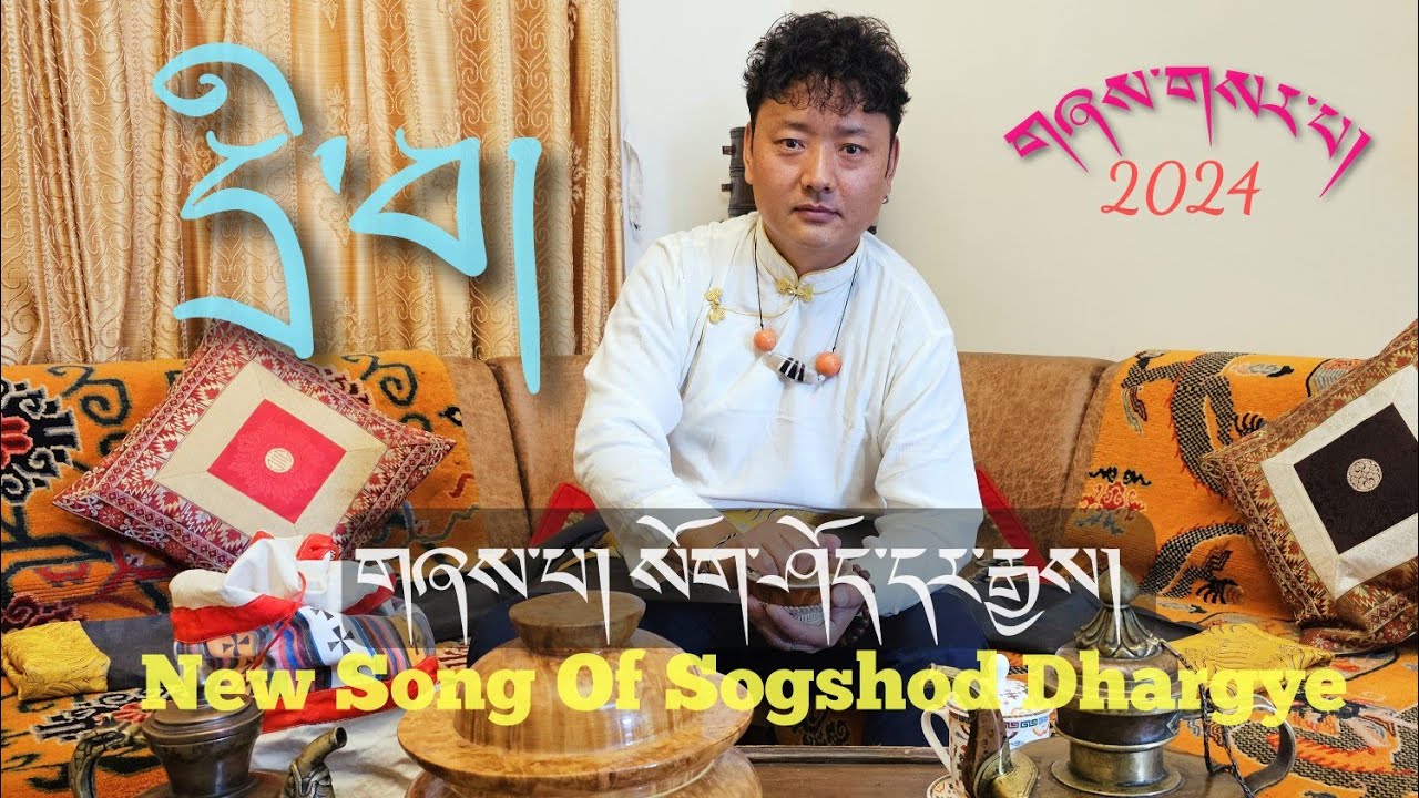 New Tibetan Song 2024 | Driwa | Official Video | Sogshod Dhargye | དྲི་བ། | སོག་ཤོད་དར་རྒྱས།