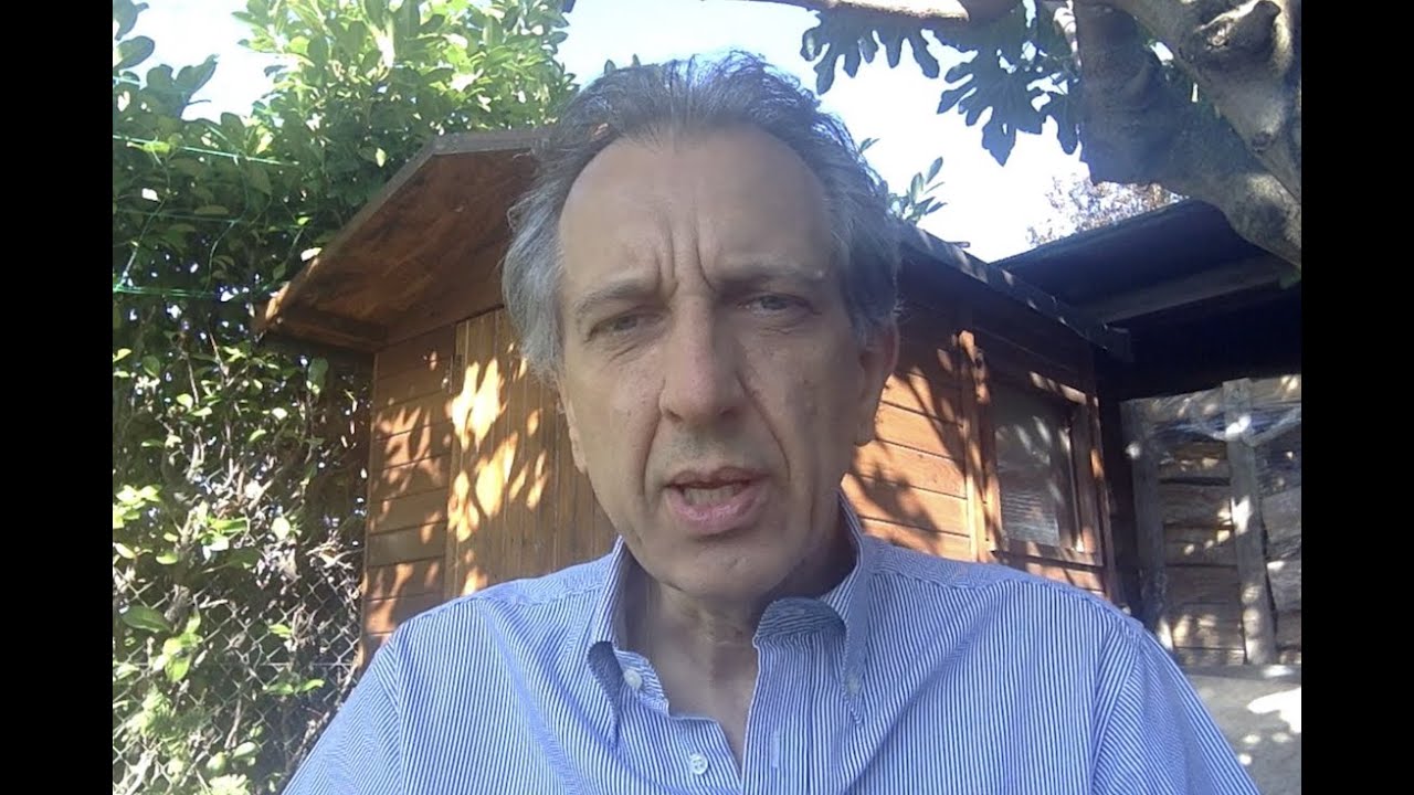 L'assorbimento del ferro vegetale - Roberto Gava