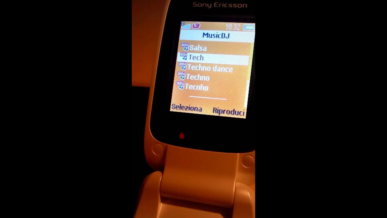 Sony Ericsson Z310i MusicDJ™