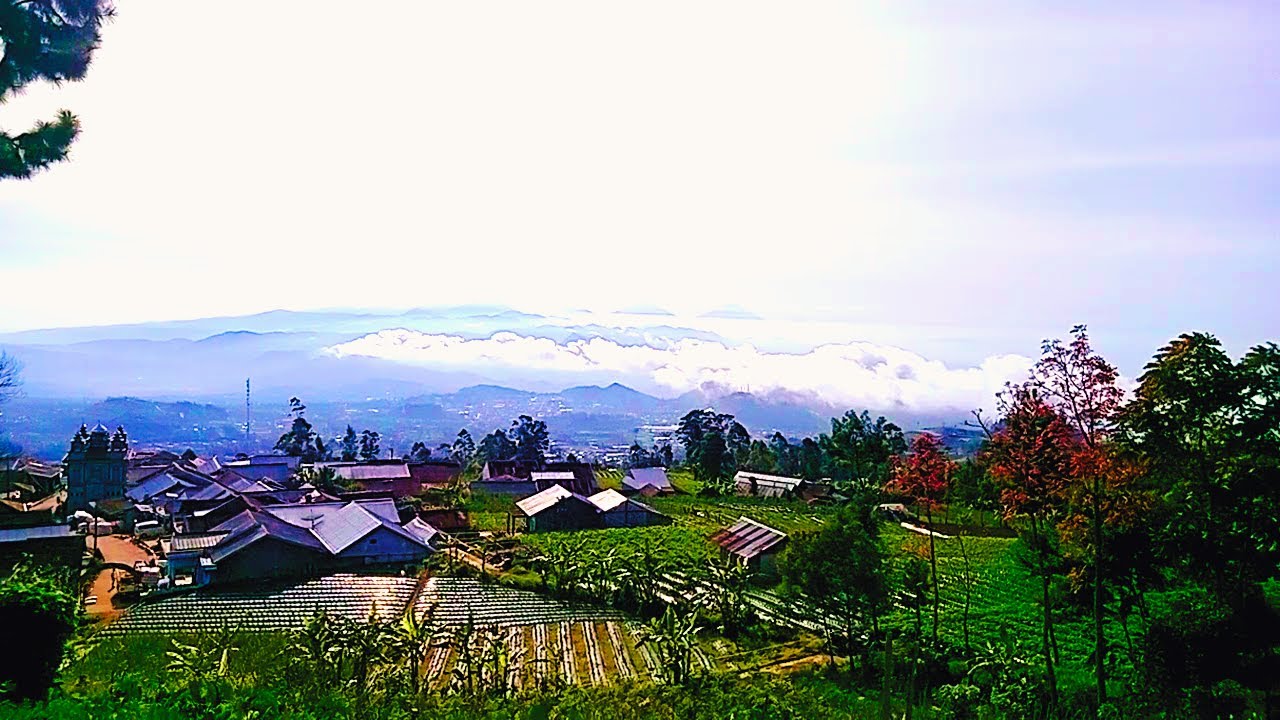 Indonesian Village Life / Farmers' activities on the slopes of Mount Slamet / Pemalang Central Java