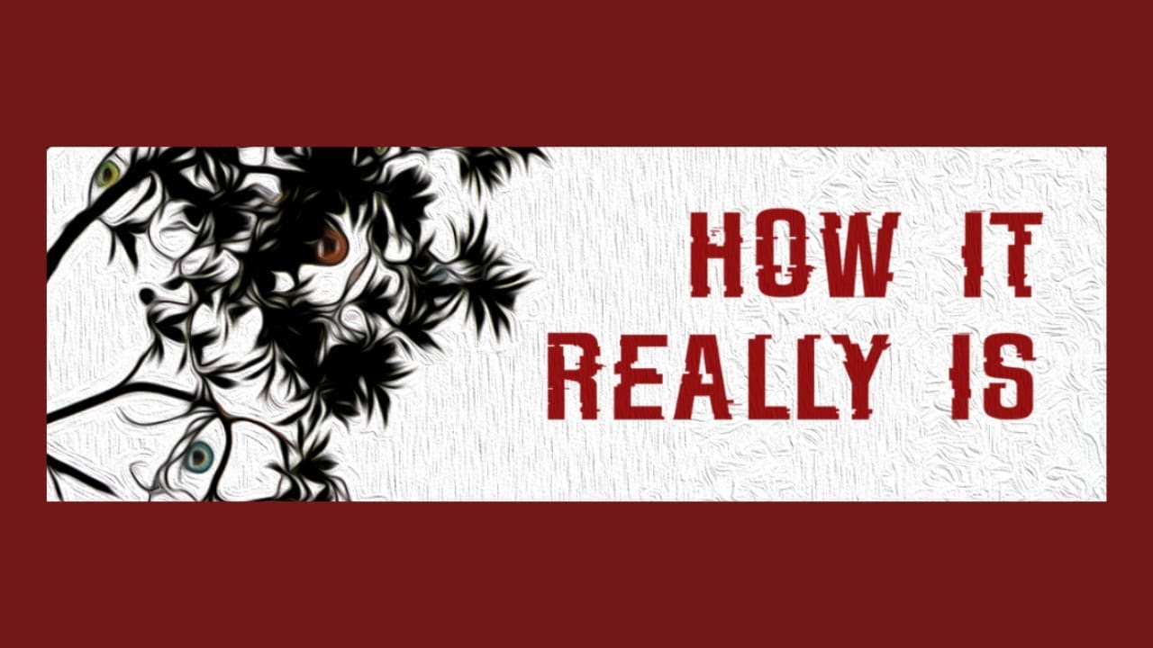 LIM-A, Ana González Gamboa // How it really is... (Sala Alzedo)