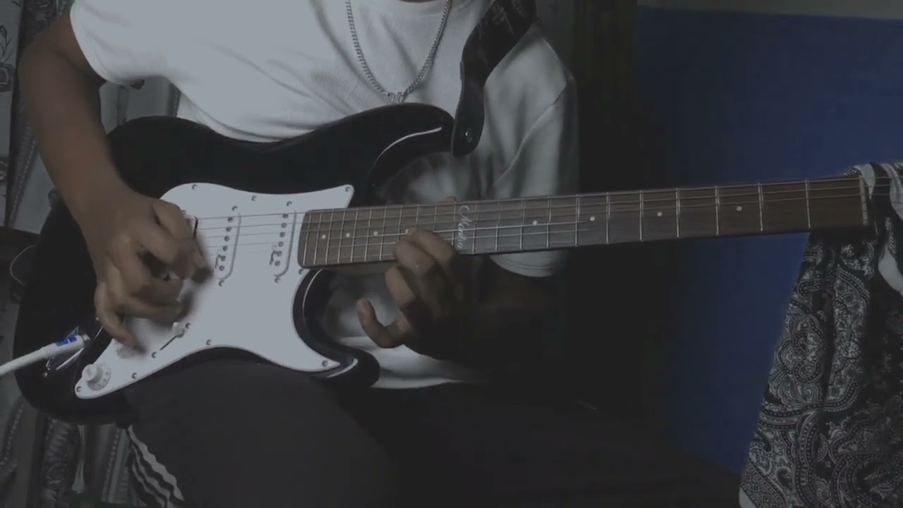 Nischal guitar solo cover~ Albatross 