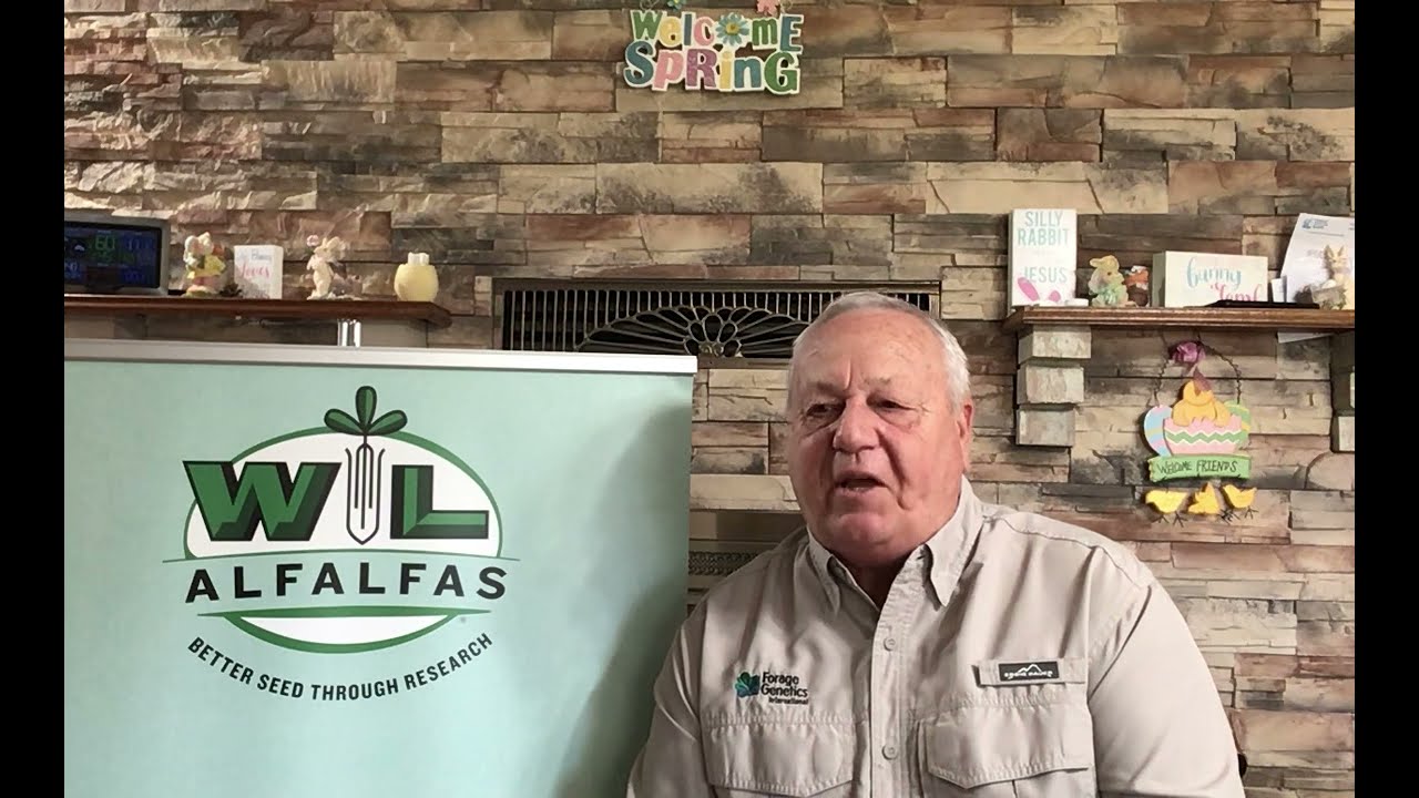 The True Cost of Alfalfa Seed