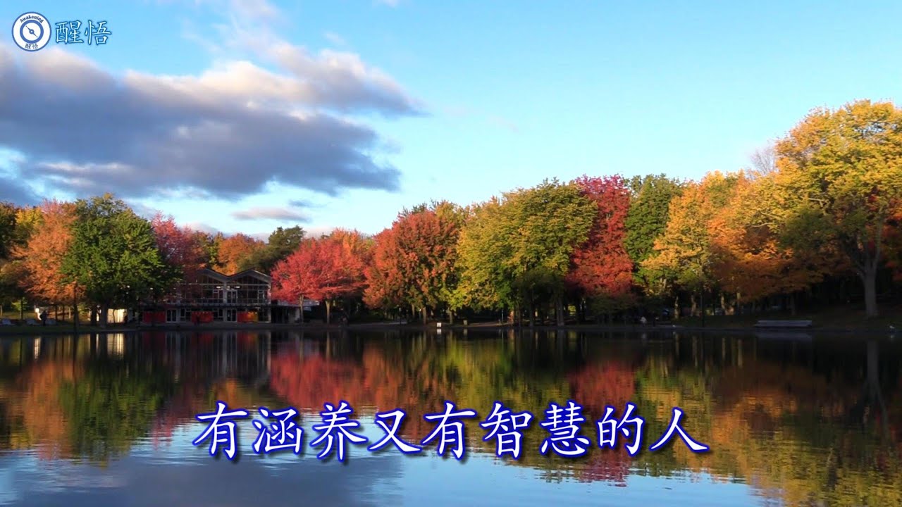 悲智双运 – 正行子幸福语录