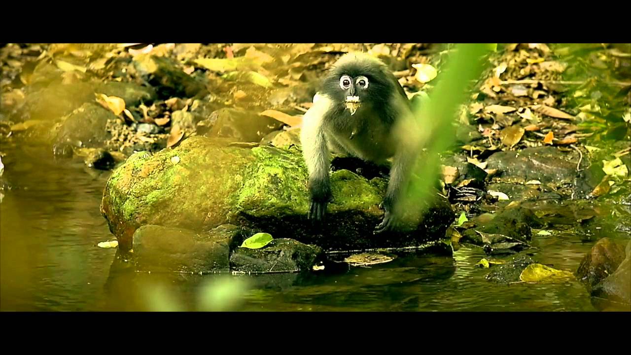 Kaeng Krachan National Park
