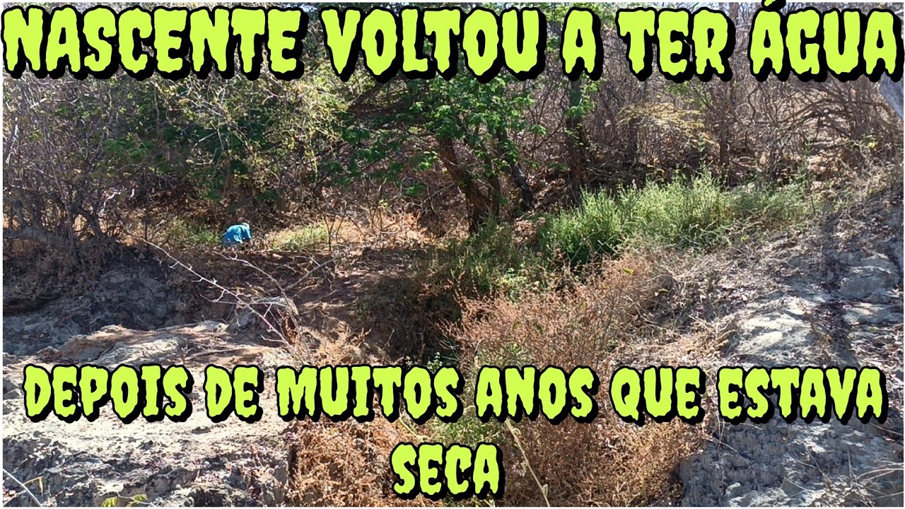 NASCENTE QUE TINHA SECADO ,VOLTA A MINAR ÁGUA NO BIOMA CAATINGA 