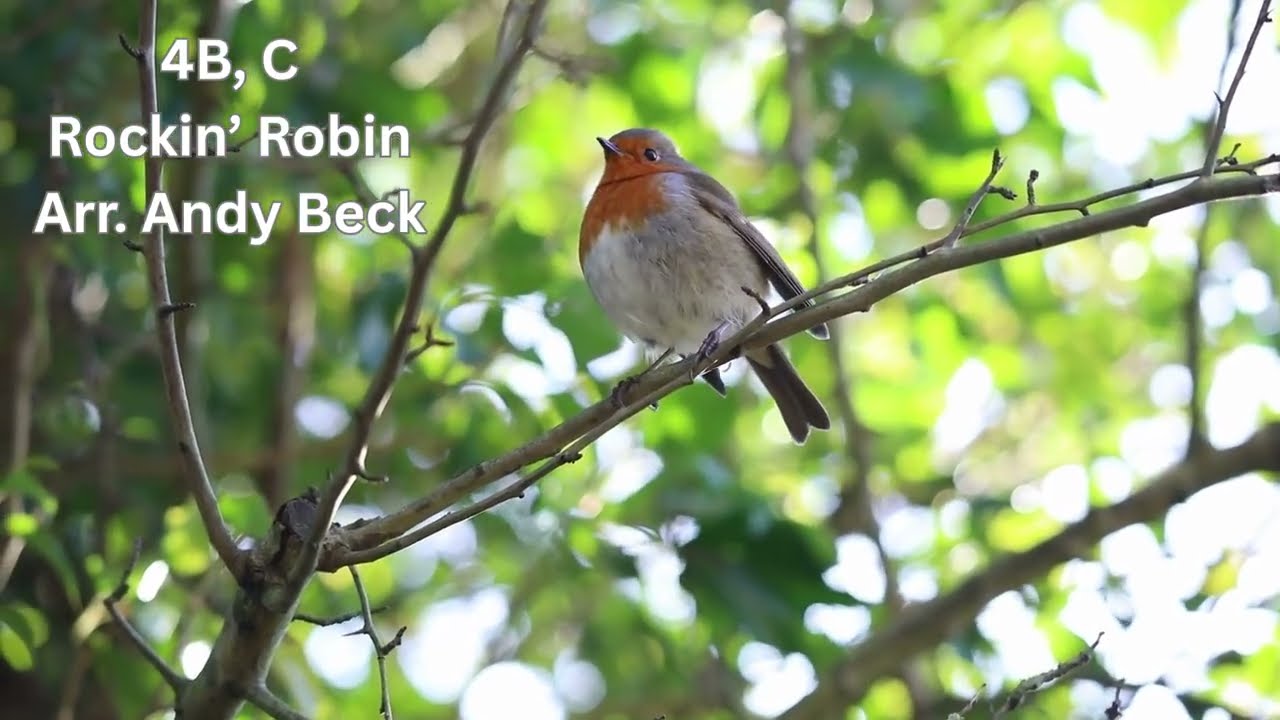 Rockin’ Robin  4B, C