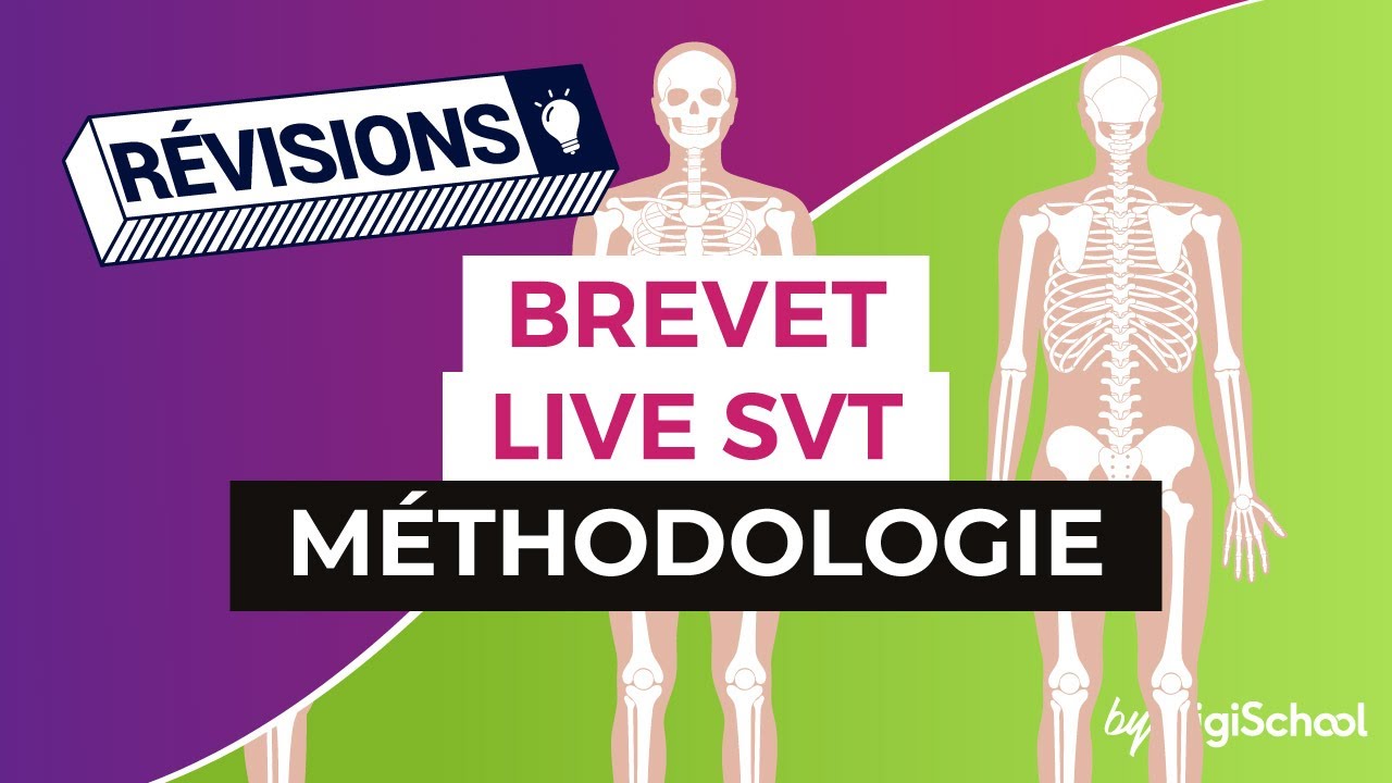 Brevet 2017 : Méthodologie pour la SVT en live avec digiSchool