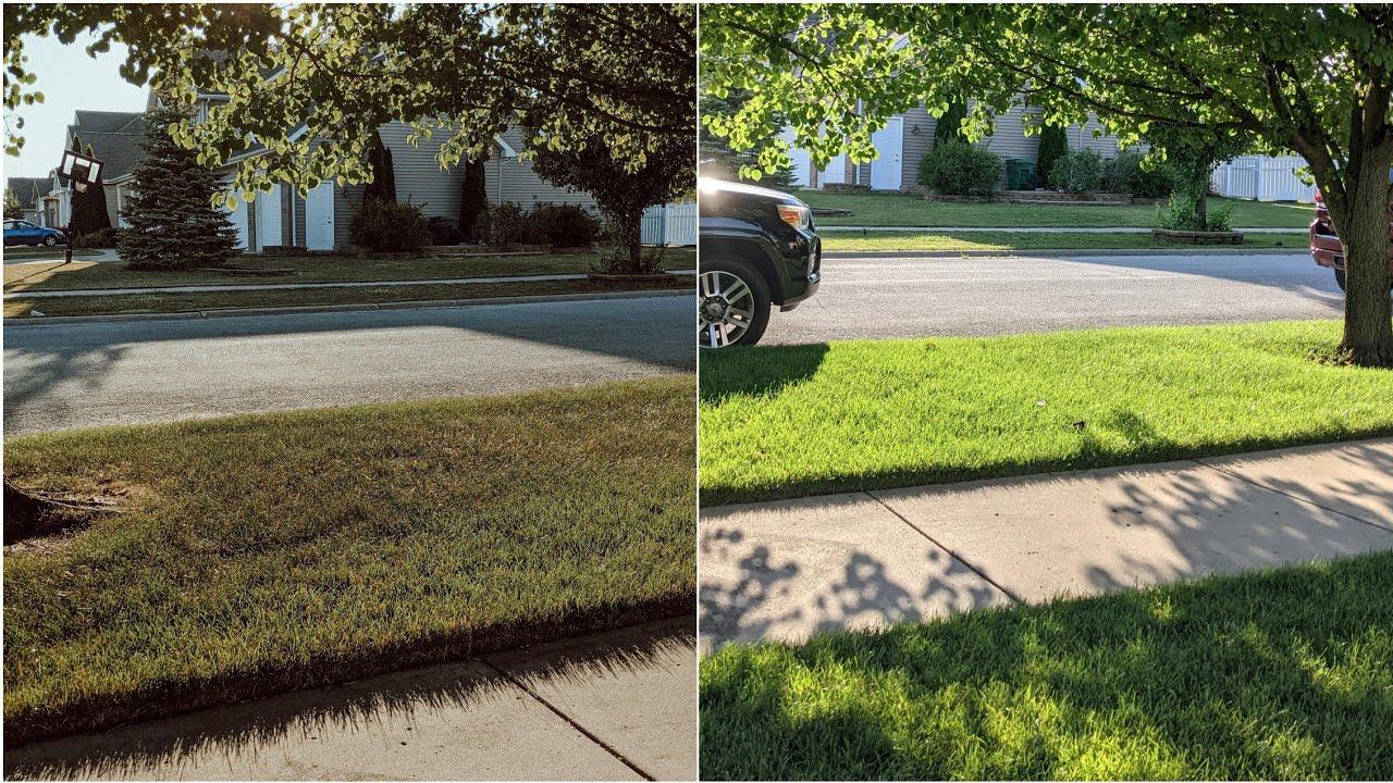 How To REVIVE Your DRY BROWN LAWN in 24 HRS or LESS // Summer Lawn Care Tips