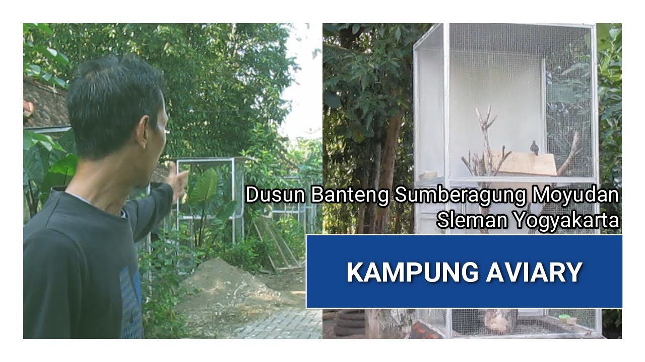AVIARY BURUNG DI KAMPUNG SATWA Dusun Bateng Moyudan Sleman Yogyakarta