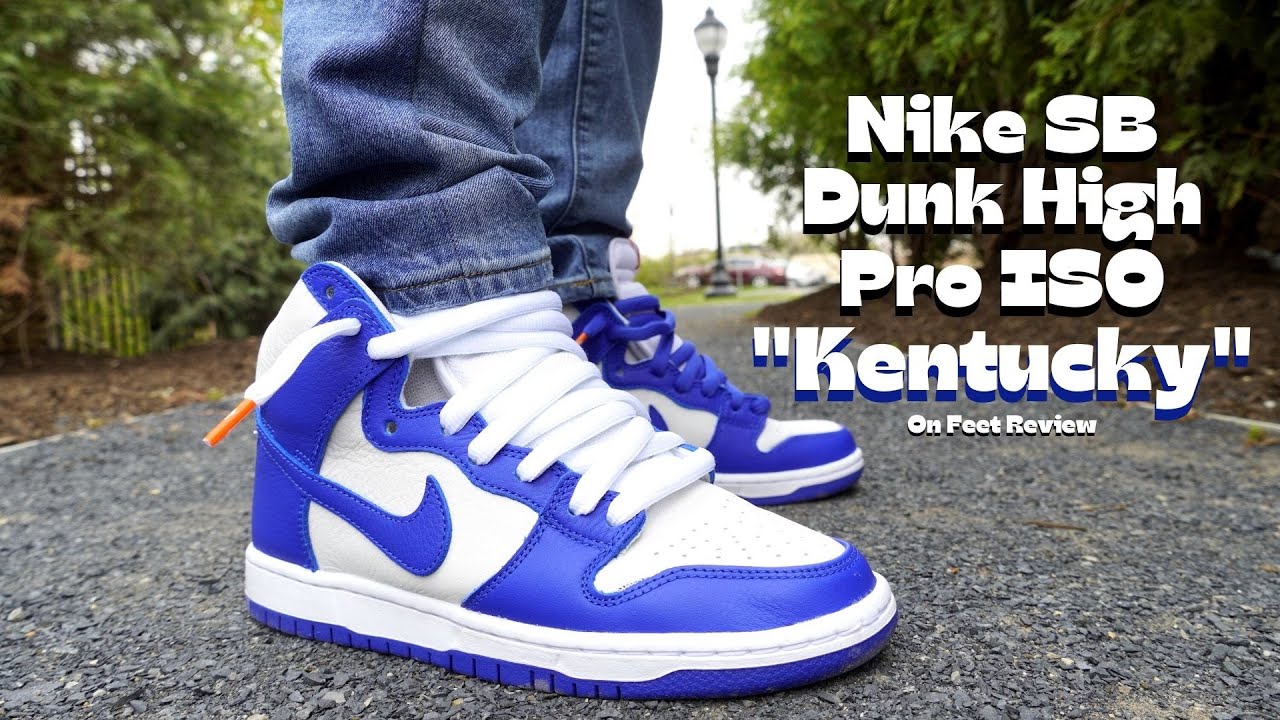 Nike SB Dunk High Pro ISO 