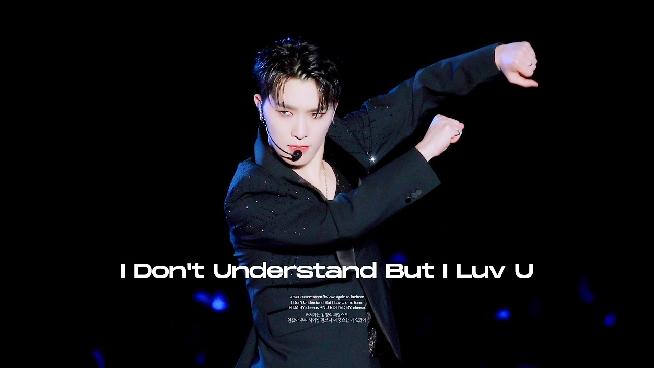 2024 세븐틴 SEVENTEEN 'FOLLOW' AGAIN TO INCHEON  - I Don't Understand But I Luv U / DINO 디노 FOCUS 직캠