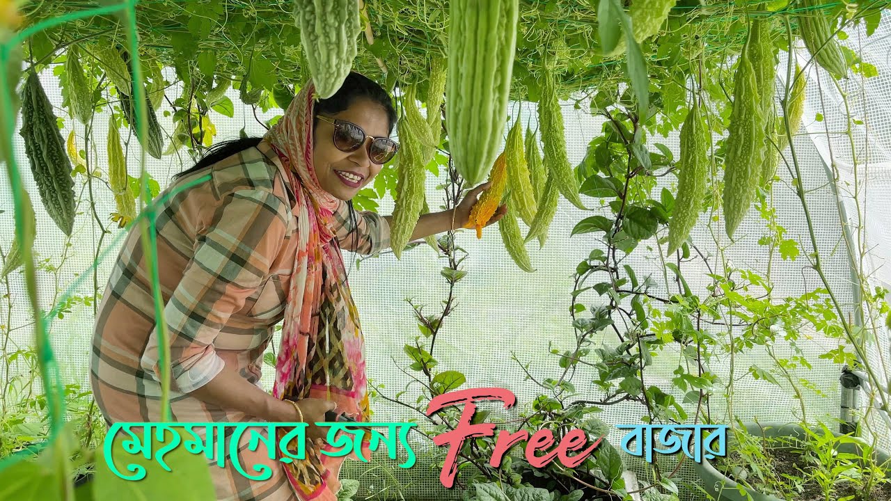 পয়সাছাড়া বাজার করলাম মেহমান আপ্যায়নের জন্য হরেক পদের রান্না করলাম বিলেত বিলাস 4K