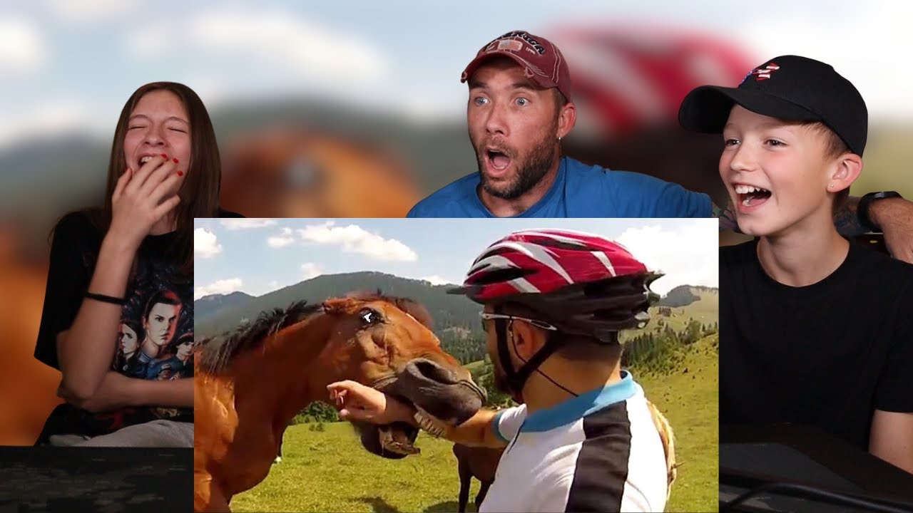 European Family React to Craziest Animal Encounters EVER!!!