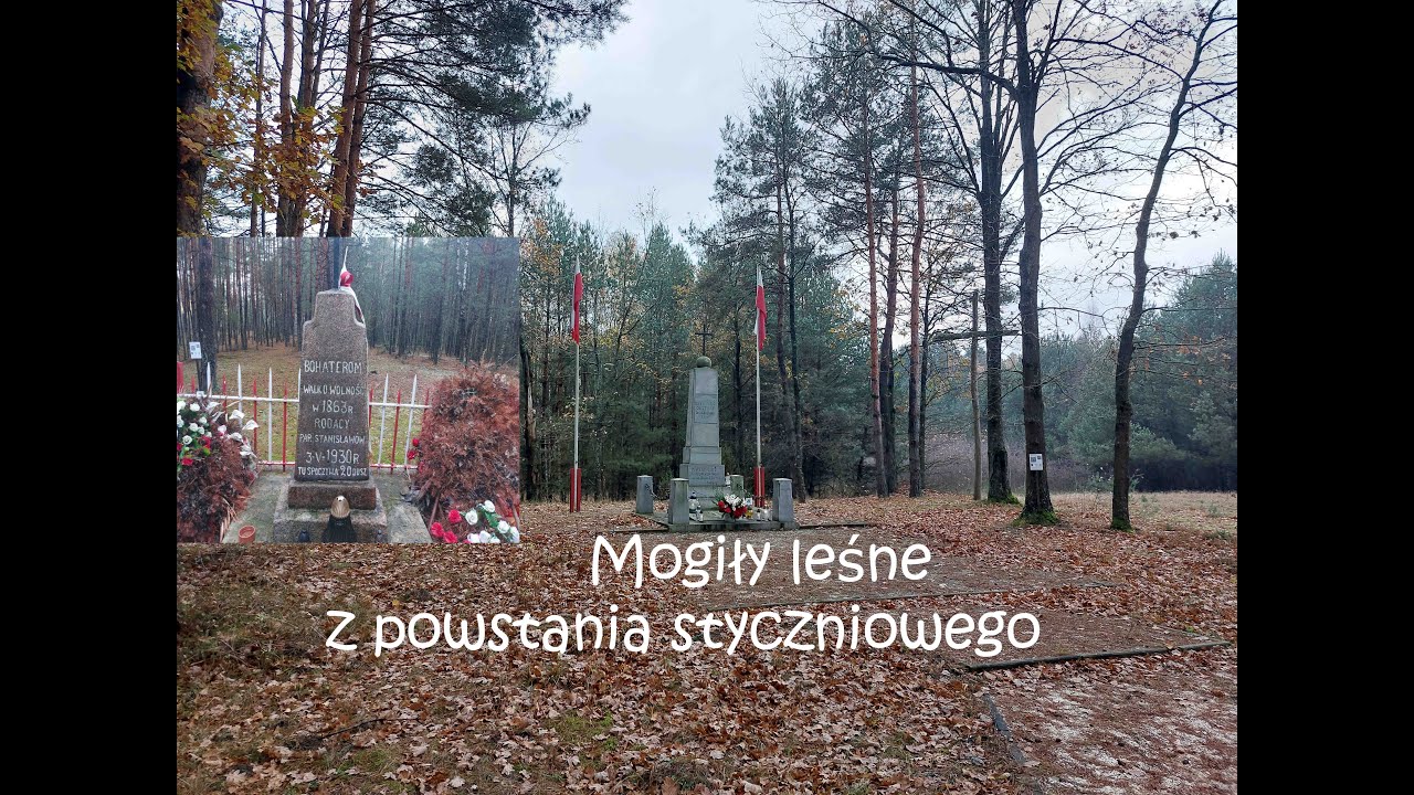 Dwa leśne pomniki - mogiły z powstania styczniowego w gminie Strachówka.